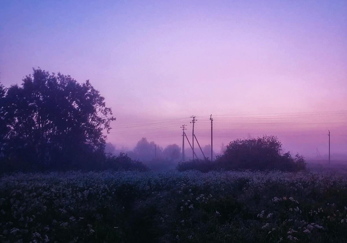 星空体育app：把星光变成你的训练指南